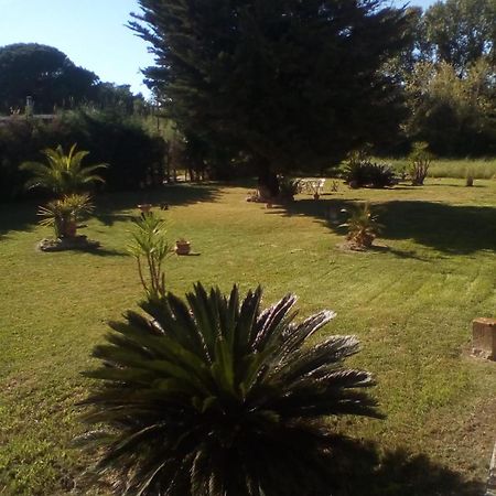 Bed and Breakfast Mamena Paestum Exterior foto