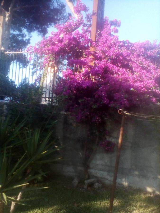 Bed and Breakfast Mamena Paestum Exterior foto