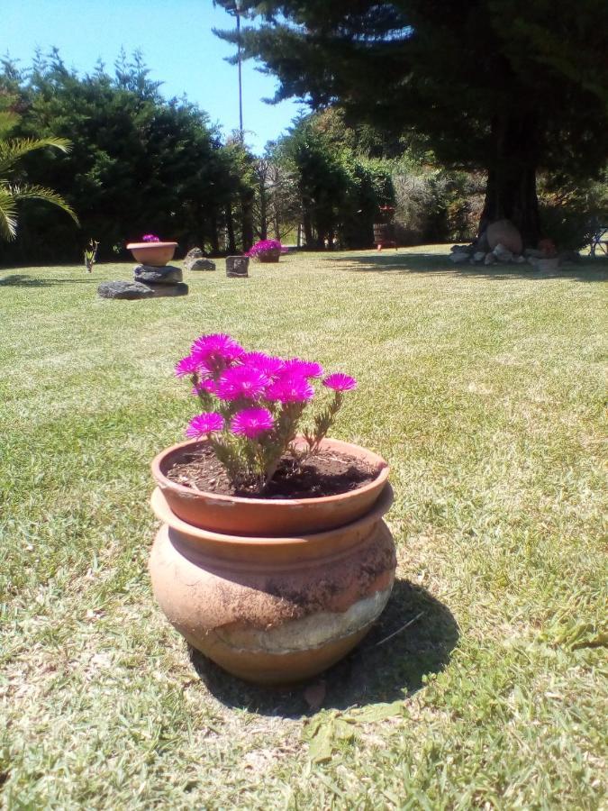 Bed and Breakfast Mamena Paestum Exterior foto
