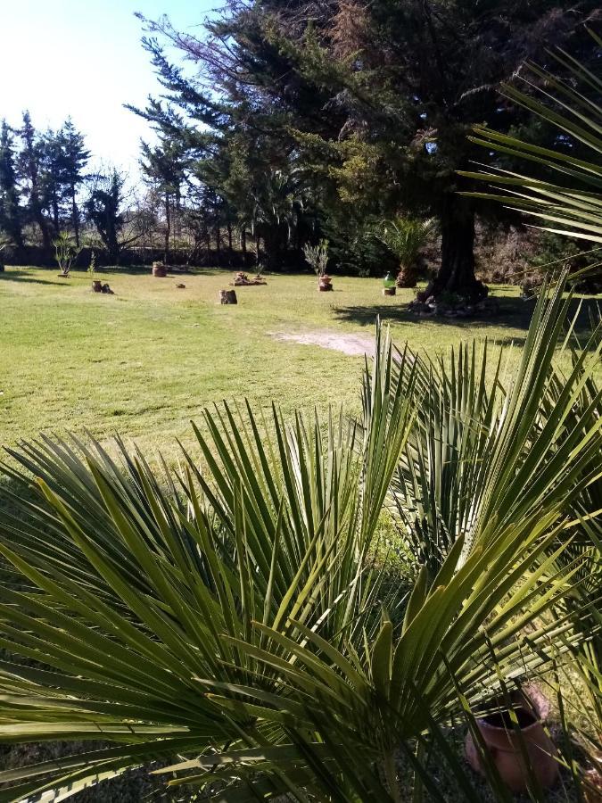 Bed and Breakfast Mamena Paestum Exterior foto
